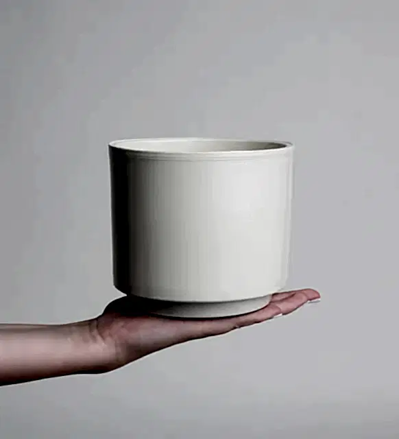 Turuncu Mavi Buketli Polimer Saksıda Spatifilyum